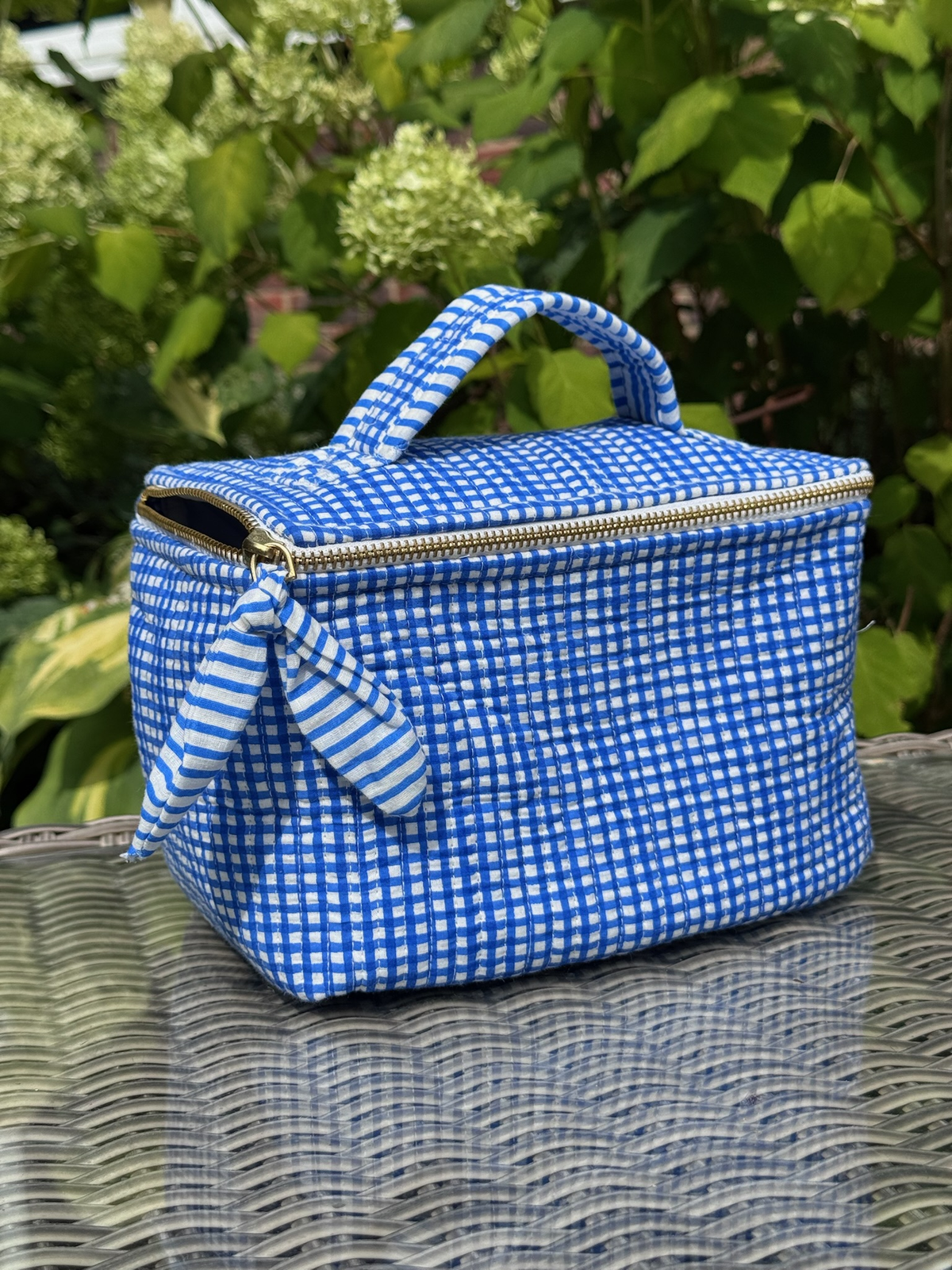 Cosmetic Case – Blue Check