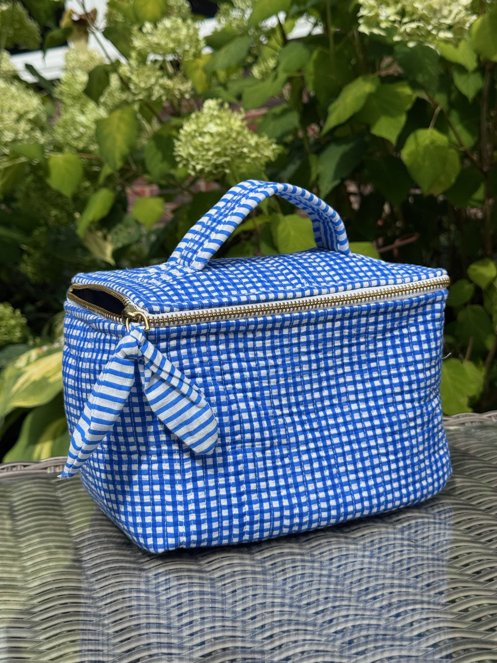 Cosmetic Case – Blue Check